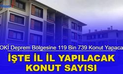 TOKİ deprem bölgesine 119 bin 739 konut yapacak: İşte il il konut sayısı