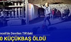 Tunceli'de devrilen TIR'daki 50 küçükbaş öldü