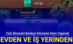 Türk Ekonomi Bankası iş yerinden ve evden çalışacak personel alımı yapacak: İlanlar ve kadrolar 2024