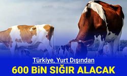 Türkiye, yurt dışından 600 bin sığır alacak