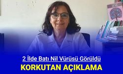Türkiye'de 2 ilde Batı Nil virüsü görüldü: İşte belirtileri