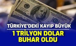 Türkiye'deki Kayıp Büyük: 1 Trilyon Dolar Kriptoda Buhar Oldu