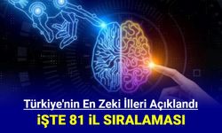 Türkiye'nin en zeki illeri sıralaması açıklandı: İşte en eki şehrimiz