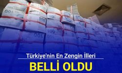 Türkiye'nin en zengin illeri belli oldu