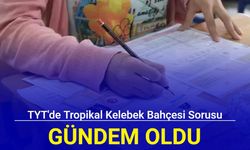 TYT'de Tropikal Kelebek Bahçesi sorusu gündem oldu: Cevabı ne?