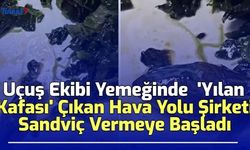 Uçuş Ekibi Yemeğinde  'Yılan Kafası' Çıkan Hava Yolu Şirketi Sandviç Vermeye Başladı