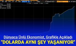 Ünlü Ekonomist: Dolar TL'de geçen senenin aynısı yaşanıyor