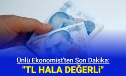 Ünlü Ekonomist nedenlerini açıkladı: "TL hala değerli"