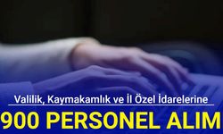 Valilik, Kaymakamlık ve İl Özel İdarelerine 900 KPSS'siz personel alımı başladı 2024