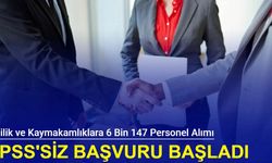 Valilik ve Kaymakamlıklara KPSS'siz kura ile 6 bin 147 personel alımı yapılıyor: İşte başvuru 2024