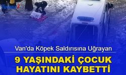 Van'da köpek saldırısına uğrayan çocuk hayatını kaybetti