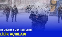 Van'da Okullar 1 Gün Tatil Edildi