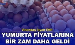 Vatandaş İsyan Etti! Yumurtaya Bir Zam Daha! Bakın Ne Kadar Oldu