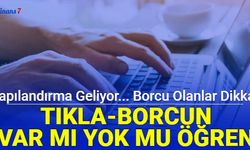 Yapılandırma geliyor: İşte e devlet, interatkif Vergi Dairesi borç sorgulama ekranı