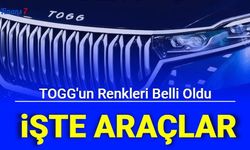 Yerli Otomobil TOGG'un Hangi Renklerde Olacağı Belli Oldu: İşte Renk Tasarımı