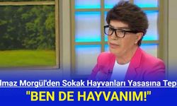 Yılmaz Morgül: Ben de Hayvanım!