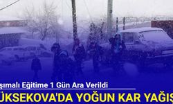 Yüksekova'da yoğun kar yağışı: Taşımalı eğitime ara verildi