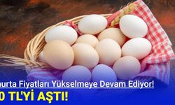 Yumurta Fiyatları Yükselmeye Devam Ediyor!