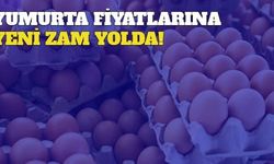 Yumurta Fiyatlarına Yeni Zam Yolda!