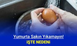 Yumurta yıkanır mı? Bakanlık sakın diyerek nedenini açıkladı