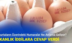 Yumurtaların Üzerindeki Numaralar Ne Anlama Geliyor?
