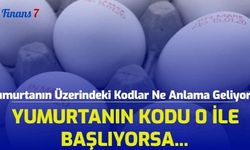 Yumurtanın Üzerindeki Kodlar Ne Anlama Geliyor? Yumurtanın Kodu 0 İle Başlıyorsa...