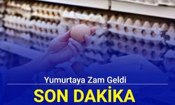 Yumurtaya zam geldi