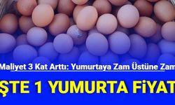 Yumurtaya Zam Üstüne Zam: İşte 1 Tane ve 30'lu Yumurta Kolisi Fiyatları