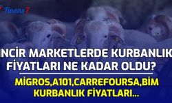 Zincir Marketlerde Kurbanlık Fiyatları Ne Kadar Oldu? Migros, A101, Carrefoursa, BİM Kurbanlık Fiyatları...