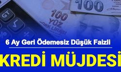 Ziraat Bankası'ndan Yeni 6 Ay Geri Ödemesiz Ucuz Faizli Temel İhtiyaç Kredisi Geliyor