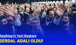 Beşiktaş'ın yeni başkanı Serdal Adalı oldu