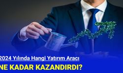 2024 yılında en çok hangi yatırım aracı kazandırdı?