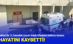 Hakkari'de 12 yaşındaki kız çocuğu sokak köpeklerinin saldırması sonucu hayatını kaybetti