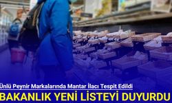 Bakanlık yeni listeyi duyurdu: Ünlü peynir markalarında mantar ilacı tespit edildi