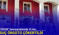 "HÜCRE" operasyonlarında 10 ayrı suç örgütü çökertildi