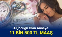 4 çocuğu olana 11.500 TL maaş verilecek: Başvuru başladı