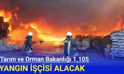 Tarım ve Orman Bakanlığı 1.105 Yangın İşçisi Alacak! Başvuru şartları nedir?