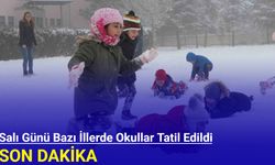 25 Şubat 2025: Bazı illerde yarın okullar tatil edildi