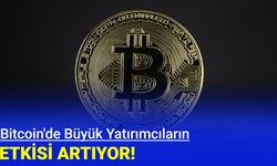 Bitcoin'de büyük yatırımcıların etkisi artıyor