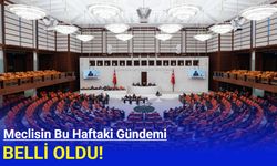 Meclisin bu haftaki gündemi belli oldu