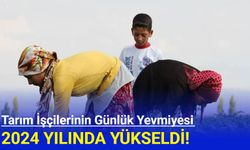 2024 yılında mevsimlik işçilerin ücretleri yükseldi