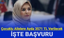 Çocuğu okula giden ailelere SED yardımı yapılacak: İşte başvuru