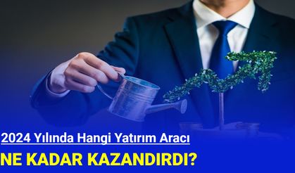 2024 yılında en çok hangi yatırım aracı kazandırdı?