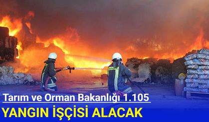 Tarım ve Orman Bakanlığı 1.105 Yangın İşçisi Alacak! Başvuru şartları nedir?