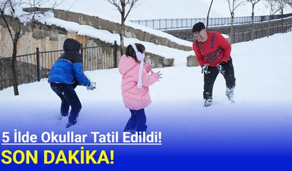 5 ilde okullar tatil edildi