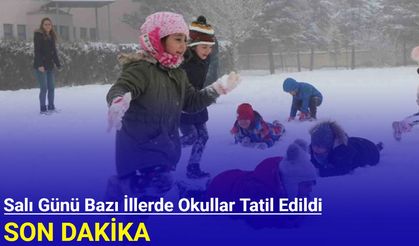 25 Şubat 2025: Bazı illerde yarın okullar tatil edildi
