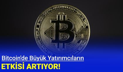 Bitcoin'de büyük yatırımcıların etkisi artıyor