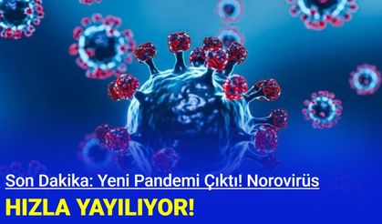 Yeni pandemi çıktı: Norovirüs hızla yayılıyor