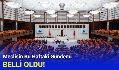Meclisin bu haftaki gündemi belli oldu