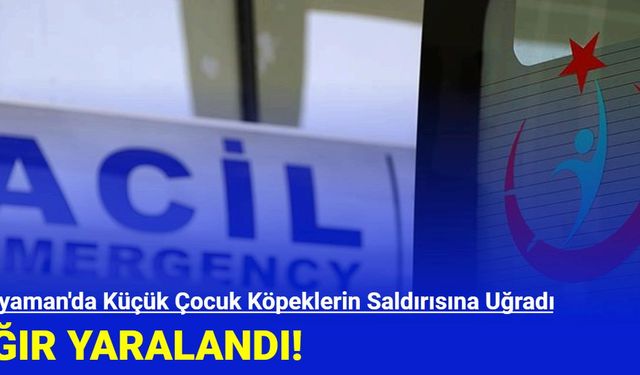 Adıyaman'da Küçük Çocuk Köpeklerin Saldırısına Uğradı